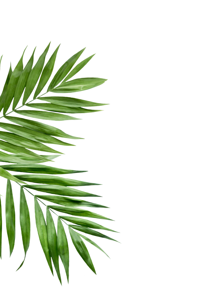 Reyuve Naturkosmetik Blätter