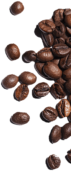 Kaffeebohnen, Coffee beans